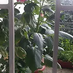 Appartement Blue Sarajevo